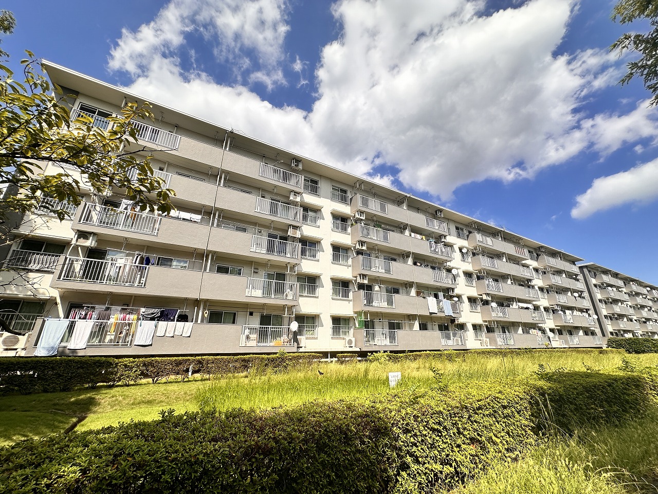 草加市新栄　マンション　新着物件のご紹介です！